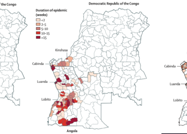 <strong>Spread of yellow fever virus outbreak in Angola and the Democratic Republic of the Congo 2015-16: a modelling study.</strong>
