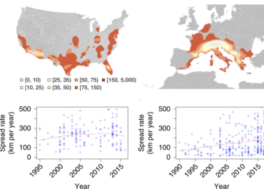 <strong>Past and future spread of the arbovirus vectors Aedes aegypti and Aedes albopictus.</strong>