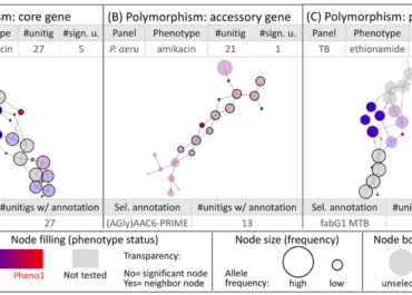 <strong>Current Affairs of Microbial Genome-Wide Association Studies: Approaches, Bottlenecks and Analytical Pitfalls</strong>
