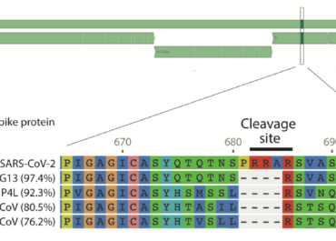 <strong>Genome Detective Coronavirus Typing Tool for rapid identification and characterization of novel coronavirus genomes</strong>
