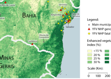 <strong>Yellow fever transmission in non-human primates, Bahia, Northeastern Brazil</strong>