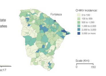 <strong>Fatal outcome of chikungunya virus infection in Brazil</strong>