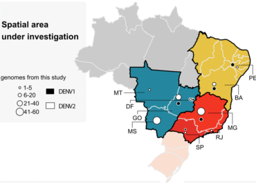 <strong>Field and classroom initiatives for portable sequence-based monitoring of dengue virus in Brazil</strong>