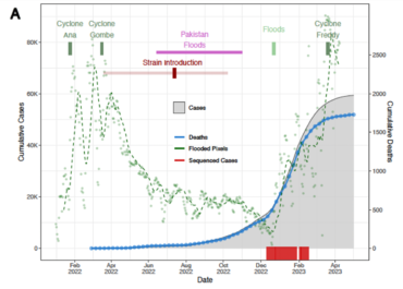 Genomic epidemiology of the cholera outbreak in Malawi 2022-2023