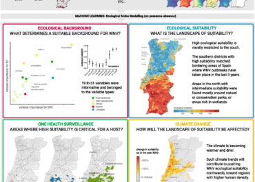 The historical ecological background of West Nile virus in Portugal indicates One Health opportunities