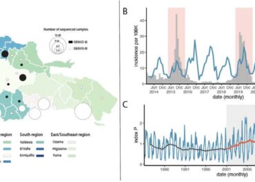 North-south pathways, emerging variants, and high climate suitability characterize the recent spread of dengue virus serotypes 2 and 3 in the Dominican Republic