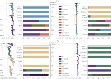 A new lineage nomenclature to aid genomic surveillance of dengue virus