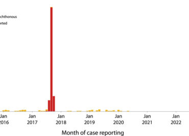 Chikungunya vaccine: Is it time for it?