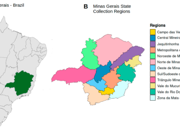 Metagenomic Analysis for Diagnosis of Hemorrhagic Fever in Minas Gerais, Brazil