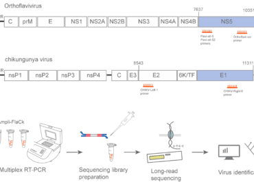 A Multiplex Nanopore Sequencing Approach for the Detection of Multiple Arboviral Species