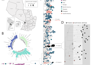 Exploring the Genomic Dynamics of the Monkeypox Epidemic in Paraguay