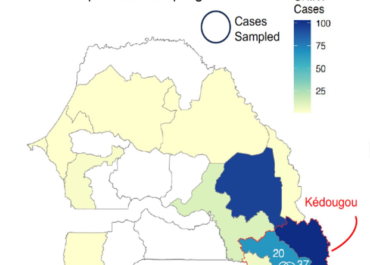 An emerging clade of Chikungunya West African genotype discovered in real-time during 2023 outbreak in Senegal