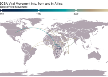 Understanding the Transmission Dynamics of the Chikungunya Virus in Africa