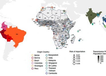 Disentangling seasonal introduction and establishment risk of dengue in Africa