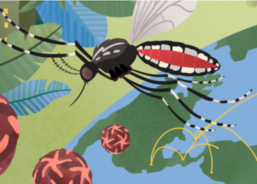 A new lineage nomenclature to aid genomic surveillance of dengue virus