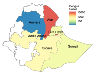 Genomic characterization of Dengue virus circulation in Ethiopia